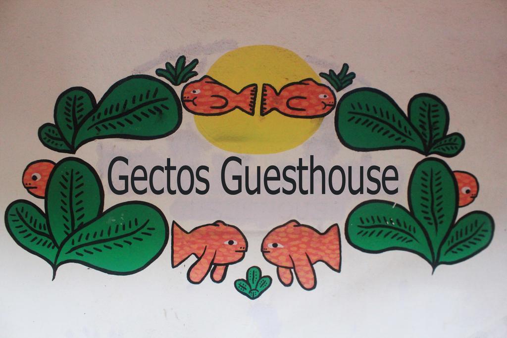 Cactus Guesthouse Arambol Luaran gambar