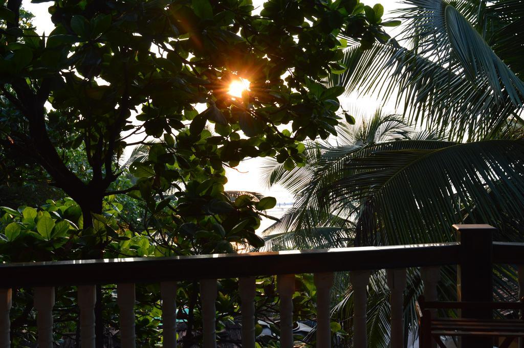 Cactus Guesthouse Arambol Luaran gambar
