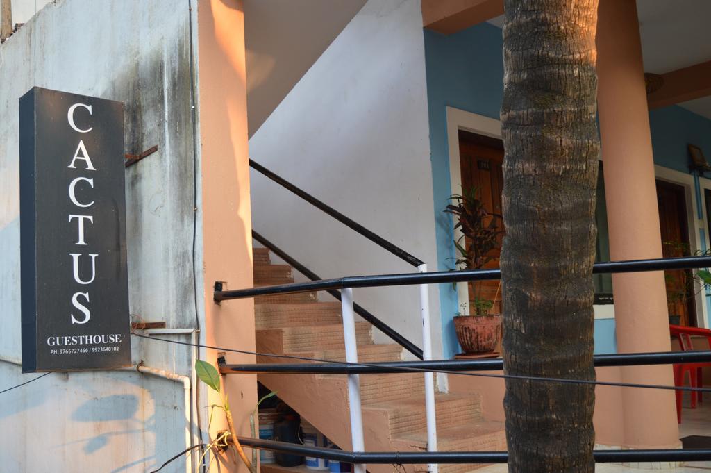 Cactus Guesthouse Arambol Luaran gambar